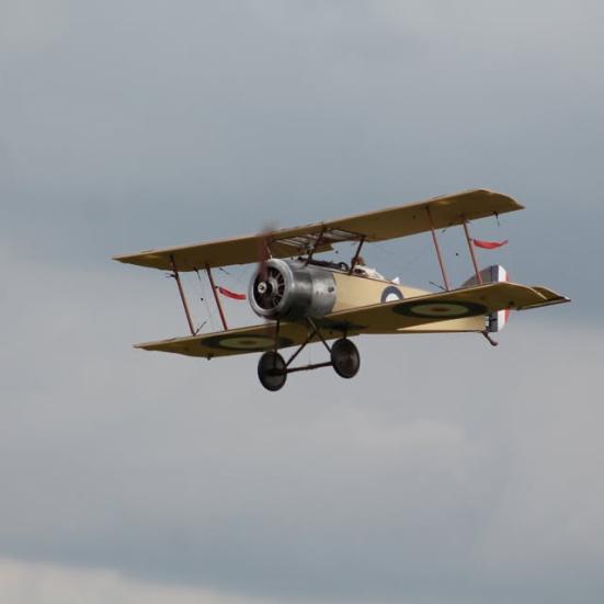 Flyet på billedet er en Sopwith Pup, et britisk ensædet biplan-jagerfly, der blev bygget af Sopwith Aviation Company. Flyet kom i tjeneste hos Royal Naval Air Service og Royal Flying Corps i efteråret 1916.