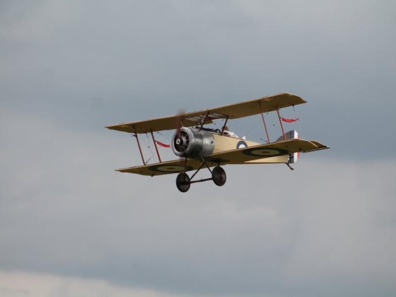 Flyet på billedet er en Sopwith Pup, et britisk ensædet biplan-jagerfly, der blev bygget af Sopwith Aviation Company. Flyet kom i tjeneste hos Royal Naval Air Service og Royal Flying Corps i efteråret 1916.