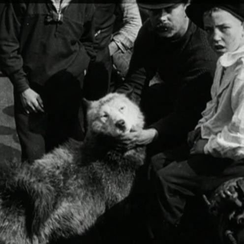 Slædehund og søfolk ombord på Danmark i Københavns havn.