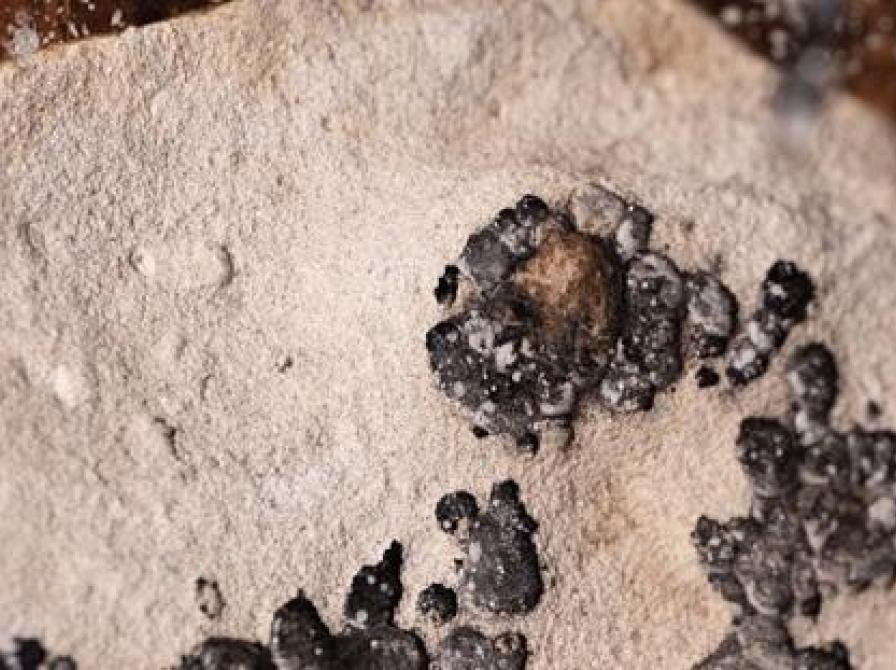 En kugle fra BOPAs likvidering af den såkaldte Hestetyv, Rudolf Christiansen, der blev skudt, mens han raflede ved baren med sin livvagt. Foto: Rosengårdens Vinstue.