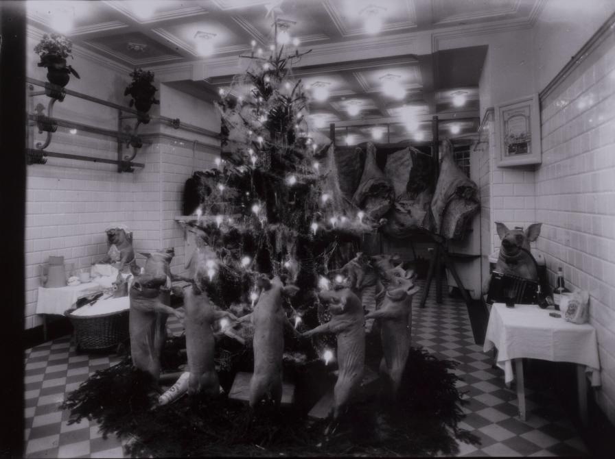 Juleudstilling med opstillede grise omkring et juletræ i slagterforretning på Værnedamsvej i 1926.