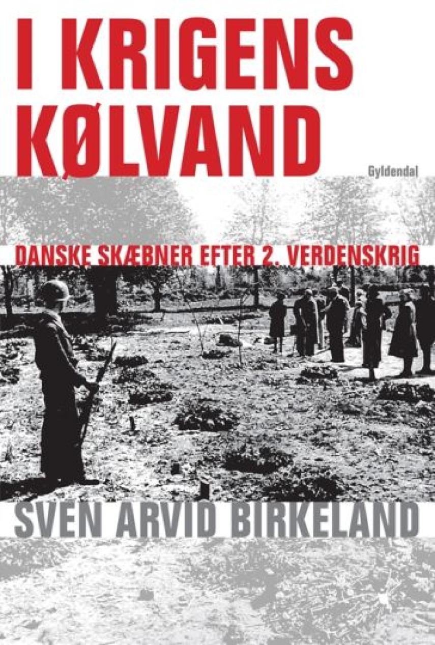 Sven Arvid Birkeland: I krigens kølvand : danske skæbner efter 2. verdenskrig