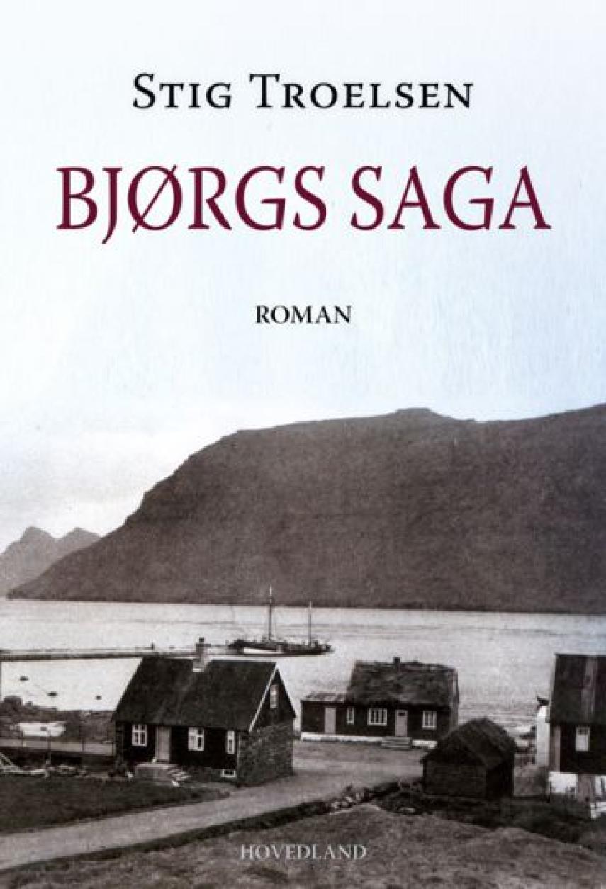 Stig Troelsen (f. 1959): Bjørgs saga : roman